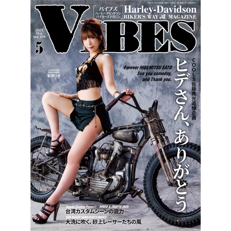 VIBES (バイブズ) 2014年 05月号 [雑誌] Amazon.co.jp: VIBES (バイブズ) 2014年 05月号 [雑誌] : Japanese Books
