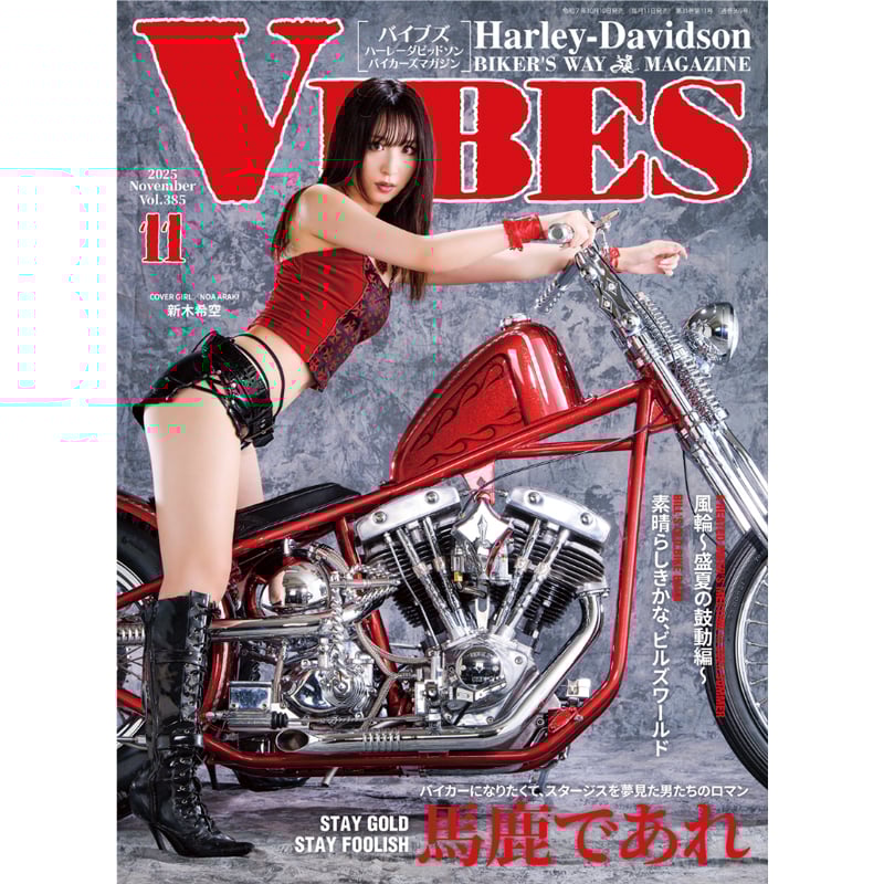 ち*ん様 極美品!SPEED starting over インサート付き!2LP ち*ん様 極美品!SPEED starting over インサート付き!2LP