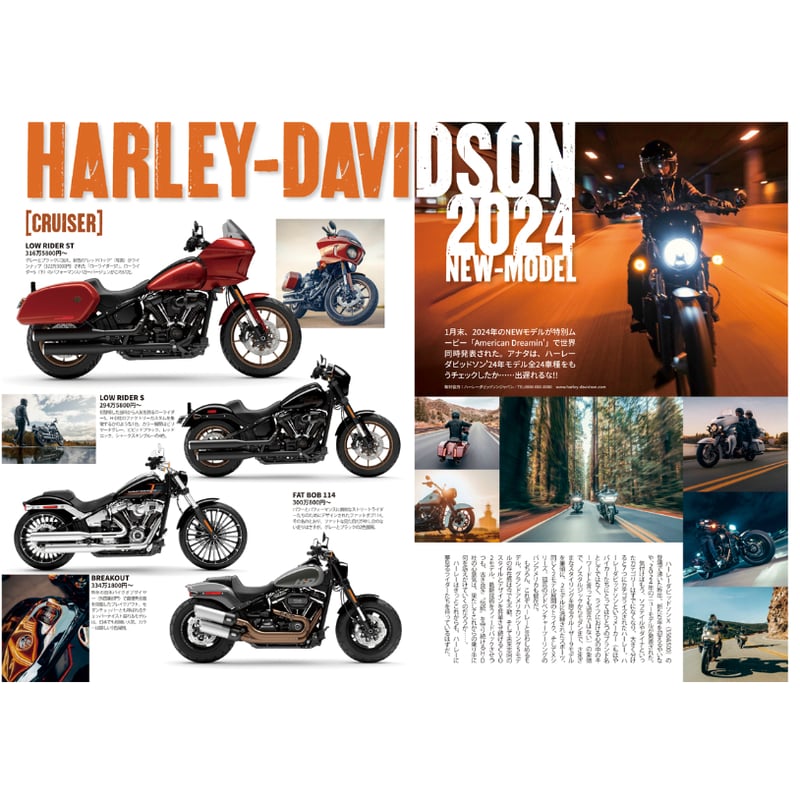 Davis、New York under Gaslight、希少画集画、新品額付 Davis