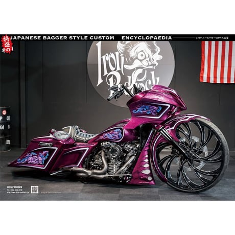 BAGGER vol.２（VIBES４月号増刊）