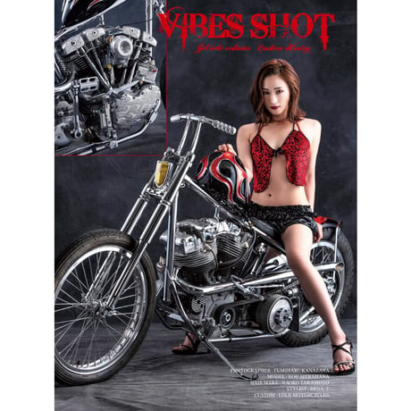 VIBES vol.348（2022年10月号）