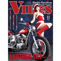 VIBES vol.375（2025年1月号）