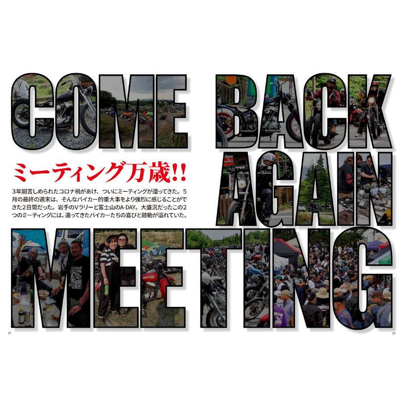 Vibes 沢山　270冊以上　まとめて購入方のみ 楽らくマグネットカーテンLL | カー用品のセイワ