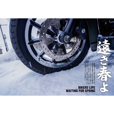 VIBES vol.353（2023年3月号）