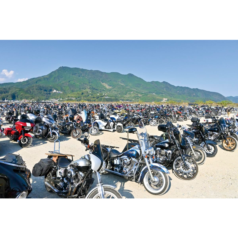 VIBES vol.363（2024年1月号） | VIBES MAGAZINE SHOP