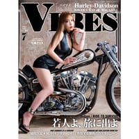 VIBES vol.369（2024年7月号）