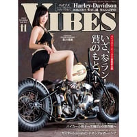 VIBES vol.361（2023年11月号）