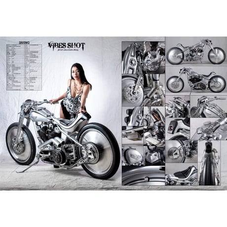 VIBES vol.354（2023年4月号）