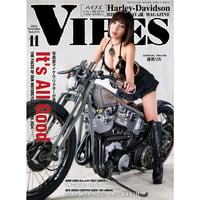 VIBES vol.373（2024年11月号）