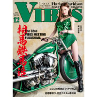 VIBES vol.374（2024年12月号）