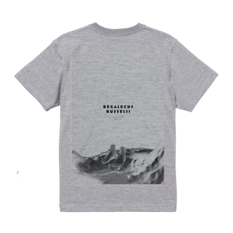 VOLA & THE  ORIENTAL MACHINE　Regalecus russelii  T-SHIRTS / ASH