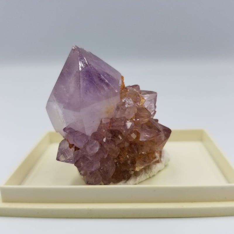 カクタスアメジスト アフリカ産 トライゴーニックあり | SUMISTONES