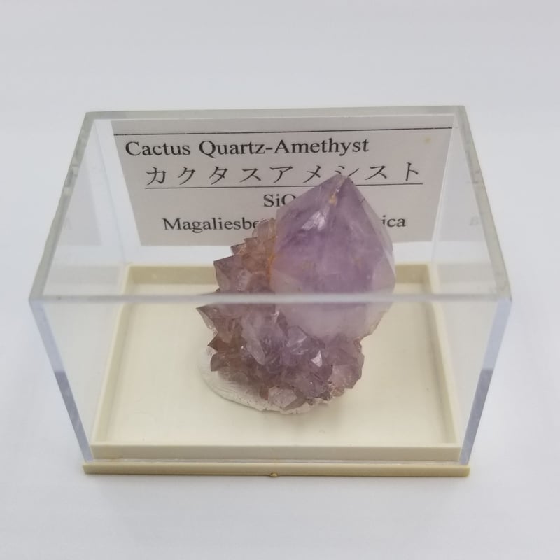 カクタスアメジスト アフリカ産 トライゴーニックあり | SUMISTONES