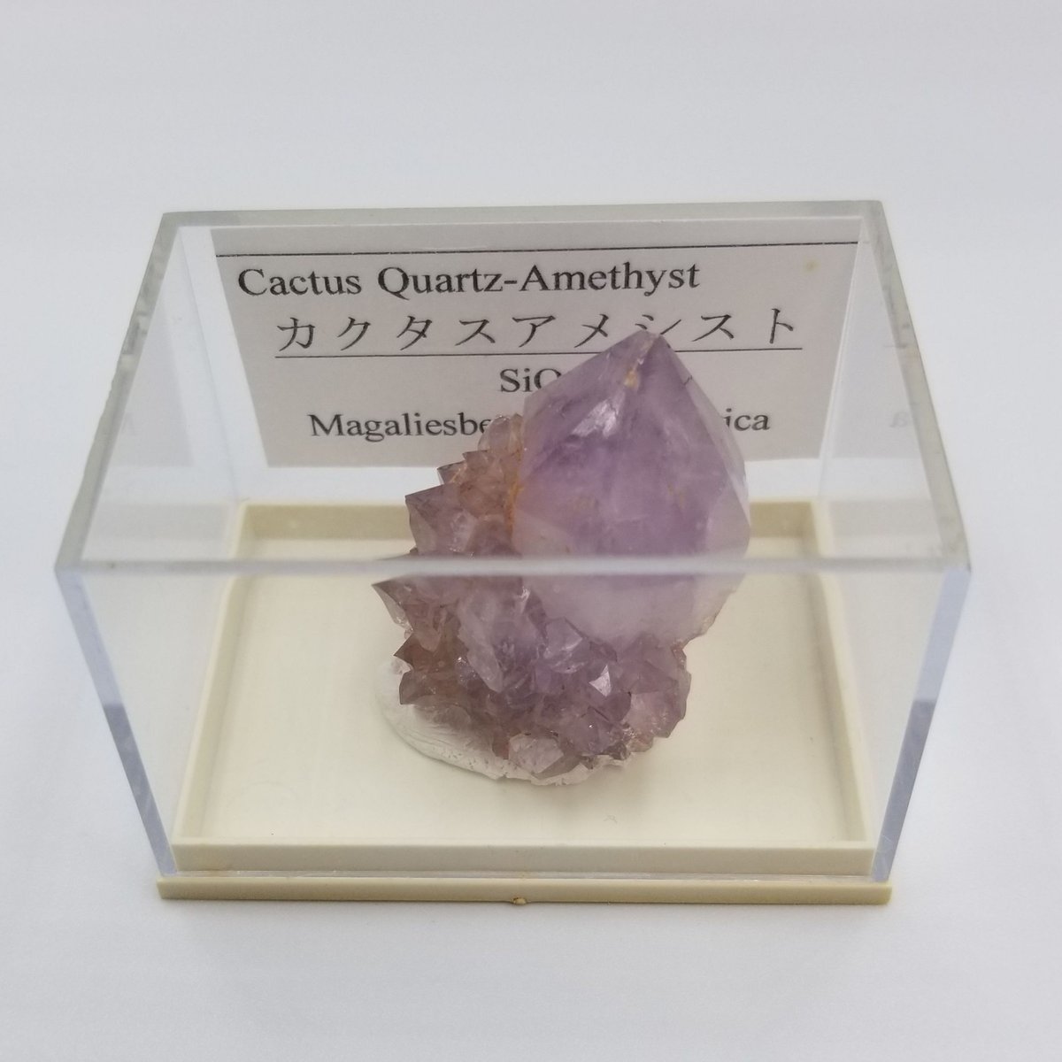 トライゴーニック✨虹入り　カクタスアメジスト　サボテン水晶　ラフストーン　原石 カクタスアメジスト アフリカ産 トライゴーニックあり | SUMISTONES