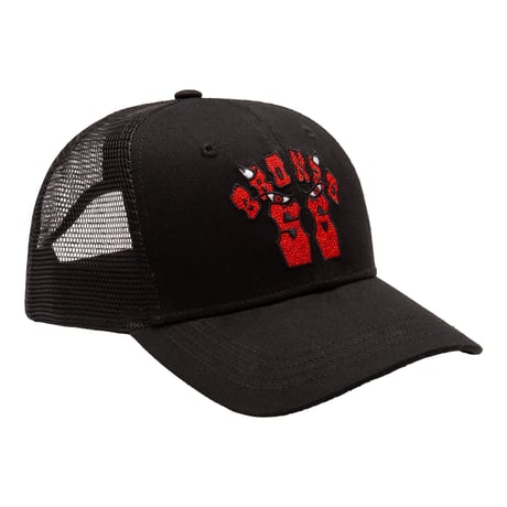 BRONZE 56K BULLSEYE TRUCKER HAT