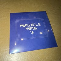 PM2.5 PARTICLE MIND 2