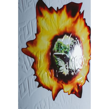 FUCKING AWESOME ANGEL BURN WHITE DECK 8.0