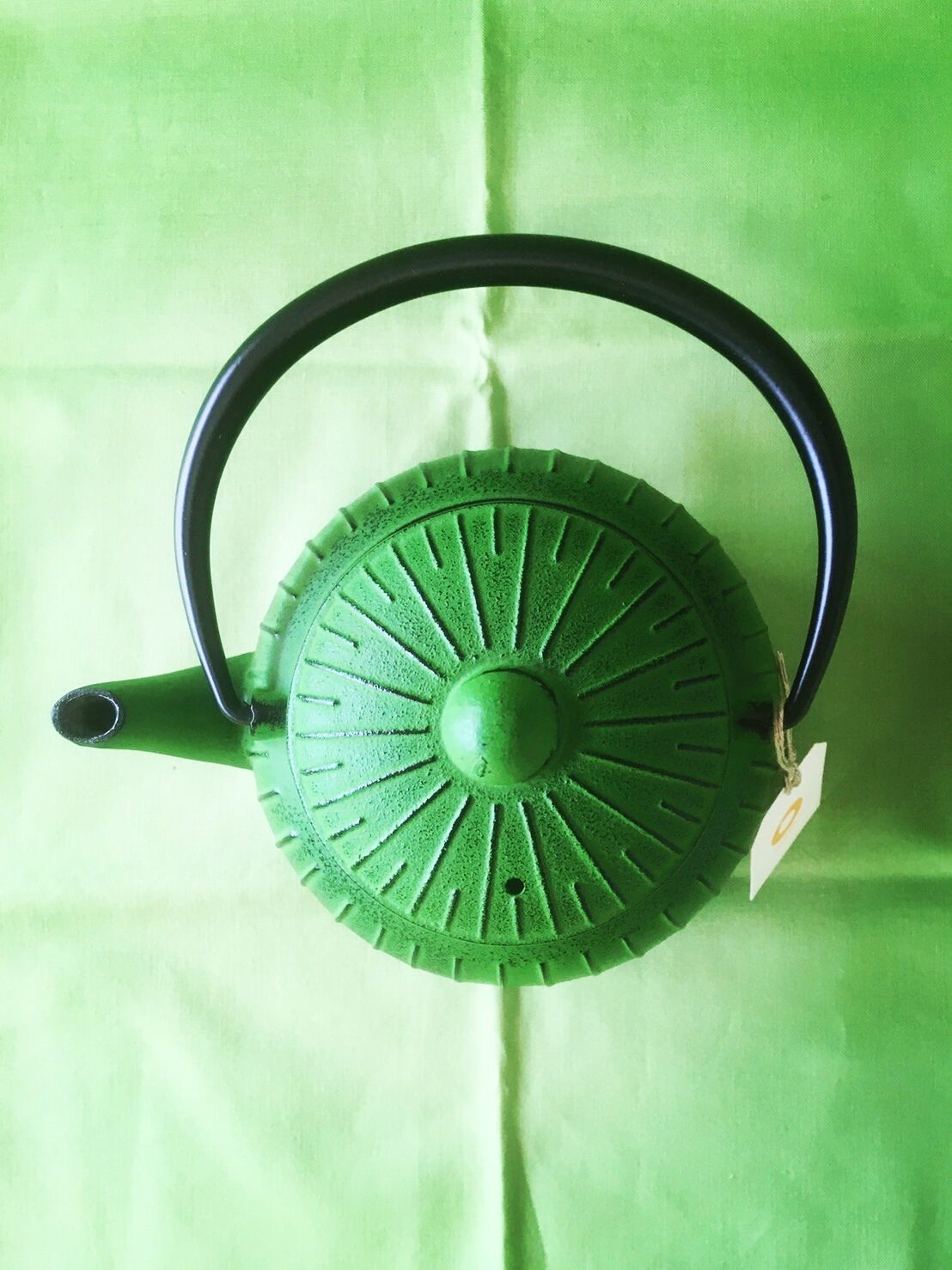 南部鉄器 鉄急須 若草 0.55リットル Teapot NanbuTekki 南部鉄器 鉄急須 若草 0.55リットル Teapot NanbuTekki