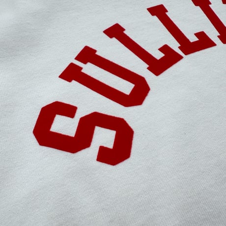 HIGHWAY NINE ハイウェイナイン C-NECK 10/-TENJIKU ROUGH FIT S/S PRINT Tee「SULLIVAN」(042006)