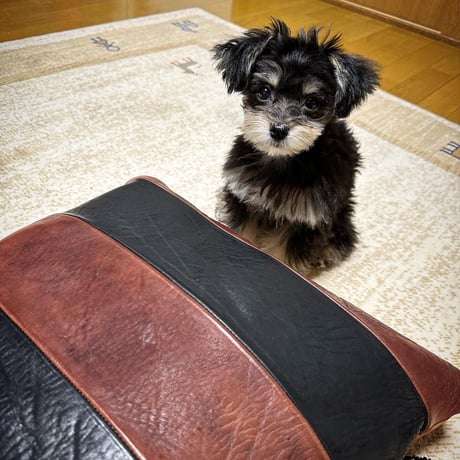 Dutch Leather Company × MASAYOSHI 【Border Cushion Cover】