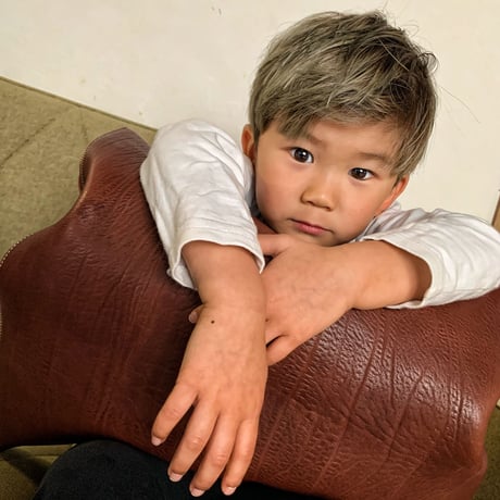 Dutch Leather Company × MASAYOSHI 【Cushion Cover】