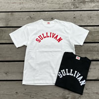 HIGHWAY NINE ハイウェイナイン C-NECK 10/-TENJIKU ROUGH FIT S/S PRINT Tee「SULLIVAN」(042006)
