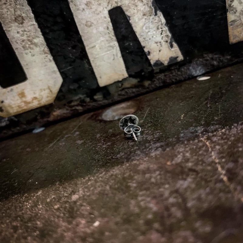 CELLMAN2DEERMES】 （MASAYOSHI）/ earring（pierce