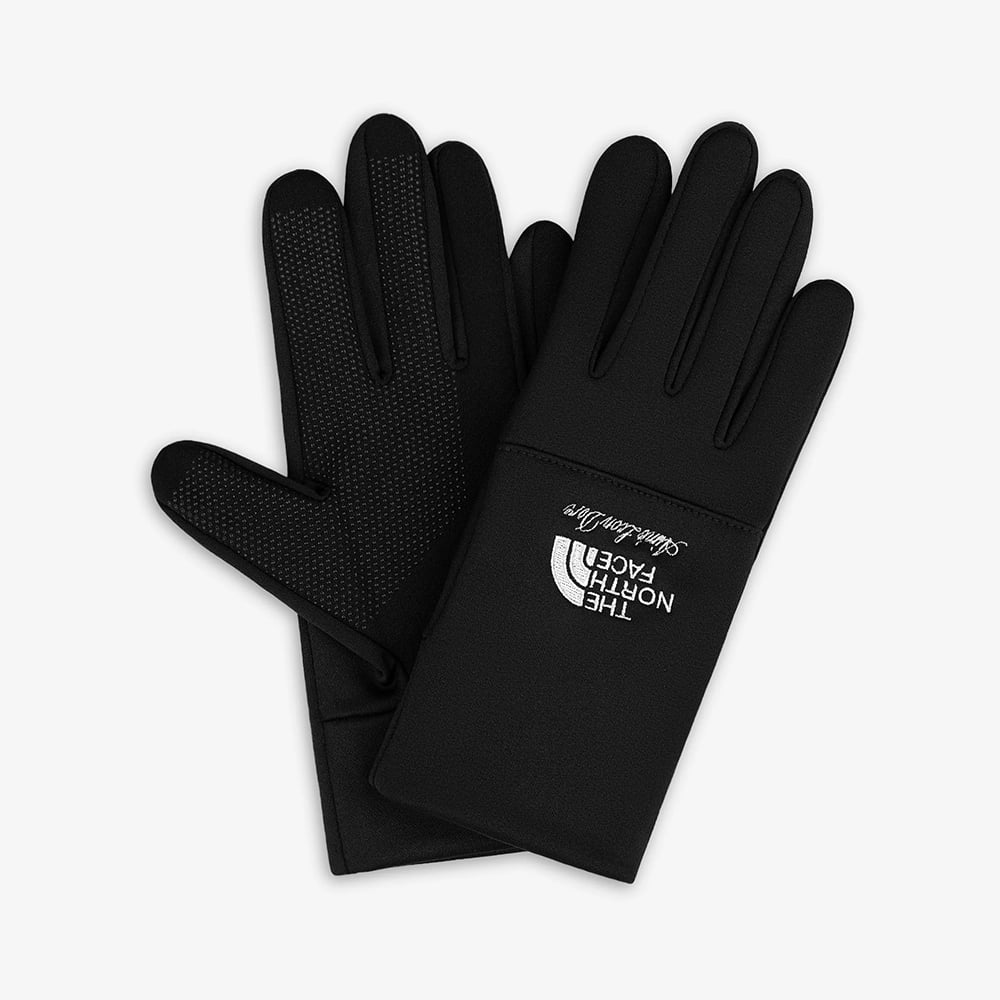 THE NORTH FACE × Aimé Leon Dore 手袋 Lサイズ The North Face x Aime Leon Dore / Etip Gloves /