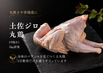 土佐ジロー 丸鶏(中抜き) [冷凍]