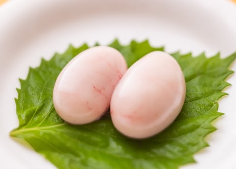 土佐ジロー正肉・肝セット (肝類付き)  もも肉・むね肉・ささみ・首皮・砂肝・レバー・ハツ・白子・トサカ [冷凍/冷蔵]