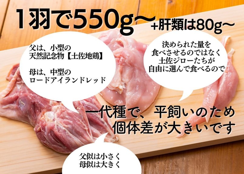 肝類付き】土佐ジロー1羽（正肉・肝）セット | 高知県の地鶏「土佐