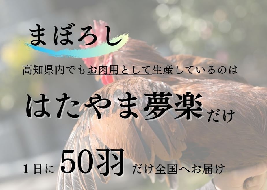 66357fd2dbaefd4b64f628b7