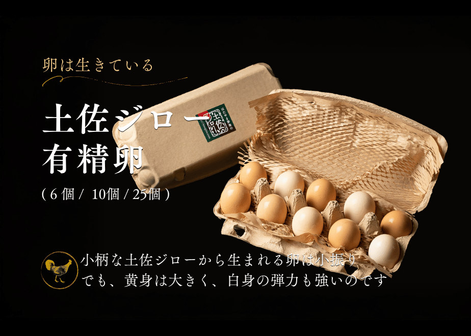 5e90188ee20b044f6131f4a6