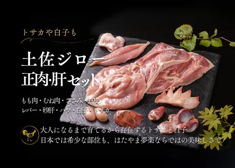 土佐ジロー正肉・肝セット (肝類付き)  もも肉・むね肉・ささみ・首皮・砂肝・レバー・ハツ・白子・トサカ [冷凍/冷蔵]