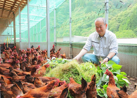 土佐ジロー 有精卵 (日時指定不可) [冷蔵]