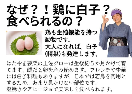 土佐ジロー 肝セット 4種6羽分 希少な白子付き[冷凍]
