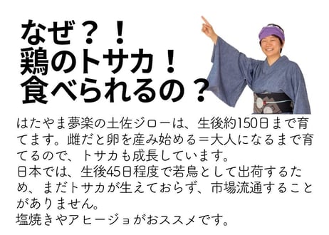 土佐ジロー トサカ(鶏冠) 《希少部位・あるとき限り》 [冷凍]