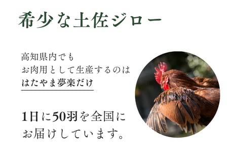 土佐ジロー正肉・肝セット (肝類付き)  もも肉・むね肉・ささみ・首皮・砂肝・レバー・ハツ・白子・トサカ [冷凍/冷蔵]