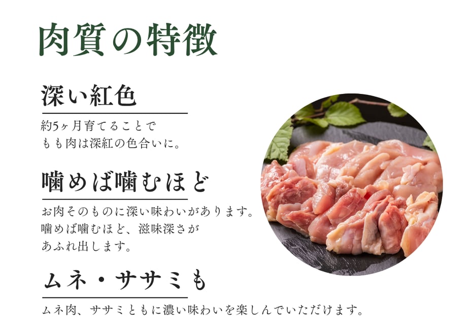 5ec4bb0f55fa036e946e940f