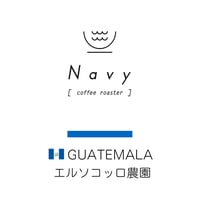 【中深煎り】グアテマラ　エルソコッロ農園