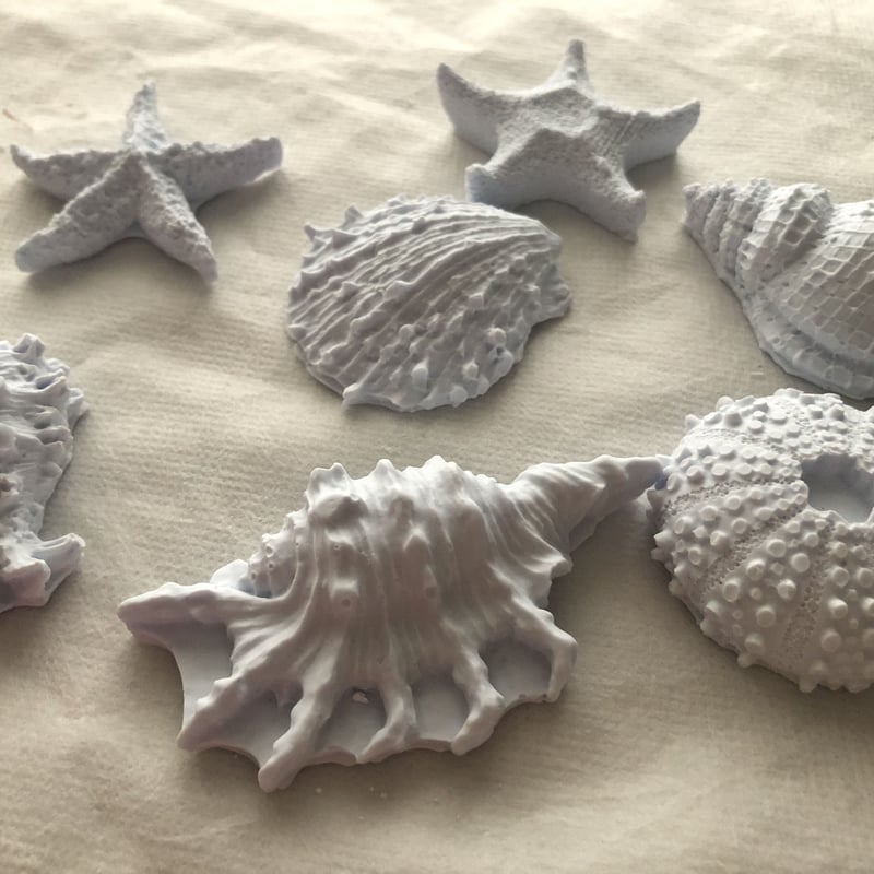 可愛い小さなシェル20個　アロマストーン 可愛い小さなシェル20個アロマストーン