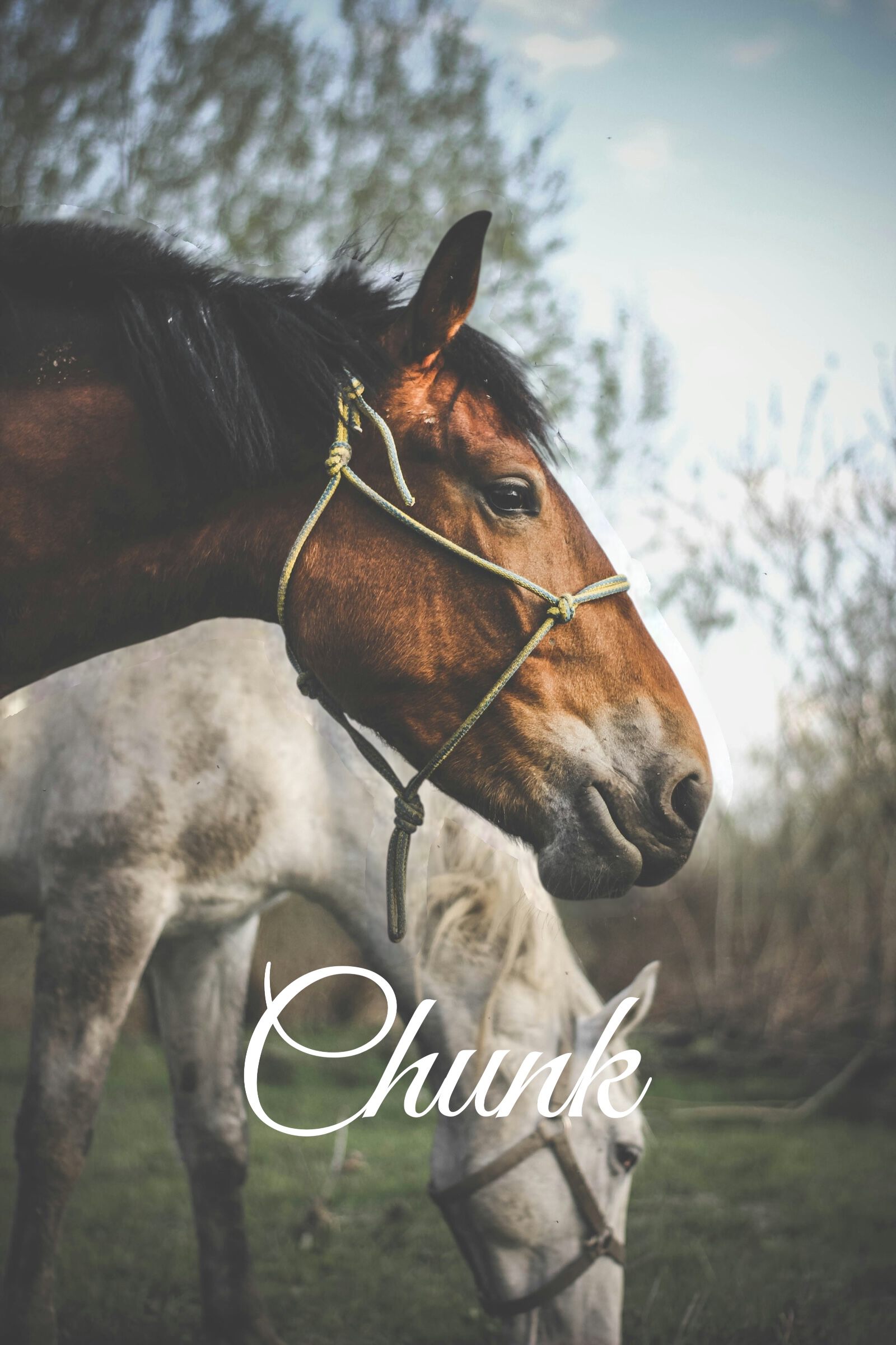 chunk