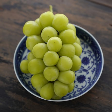 青花缠枝蓮紋皿 PF234