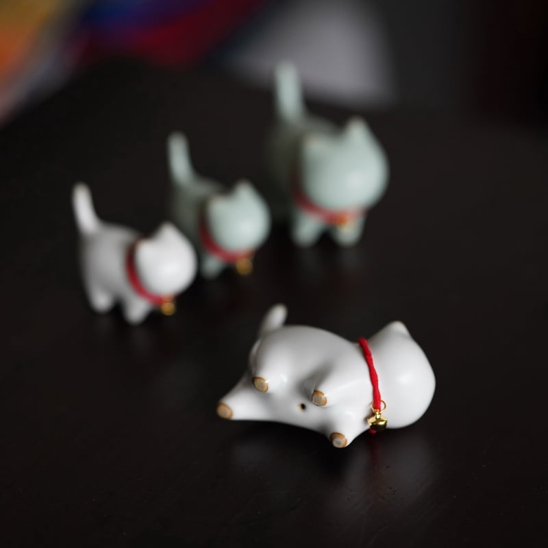 小猫茶寵 PB008 | Looking For 物色