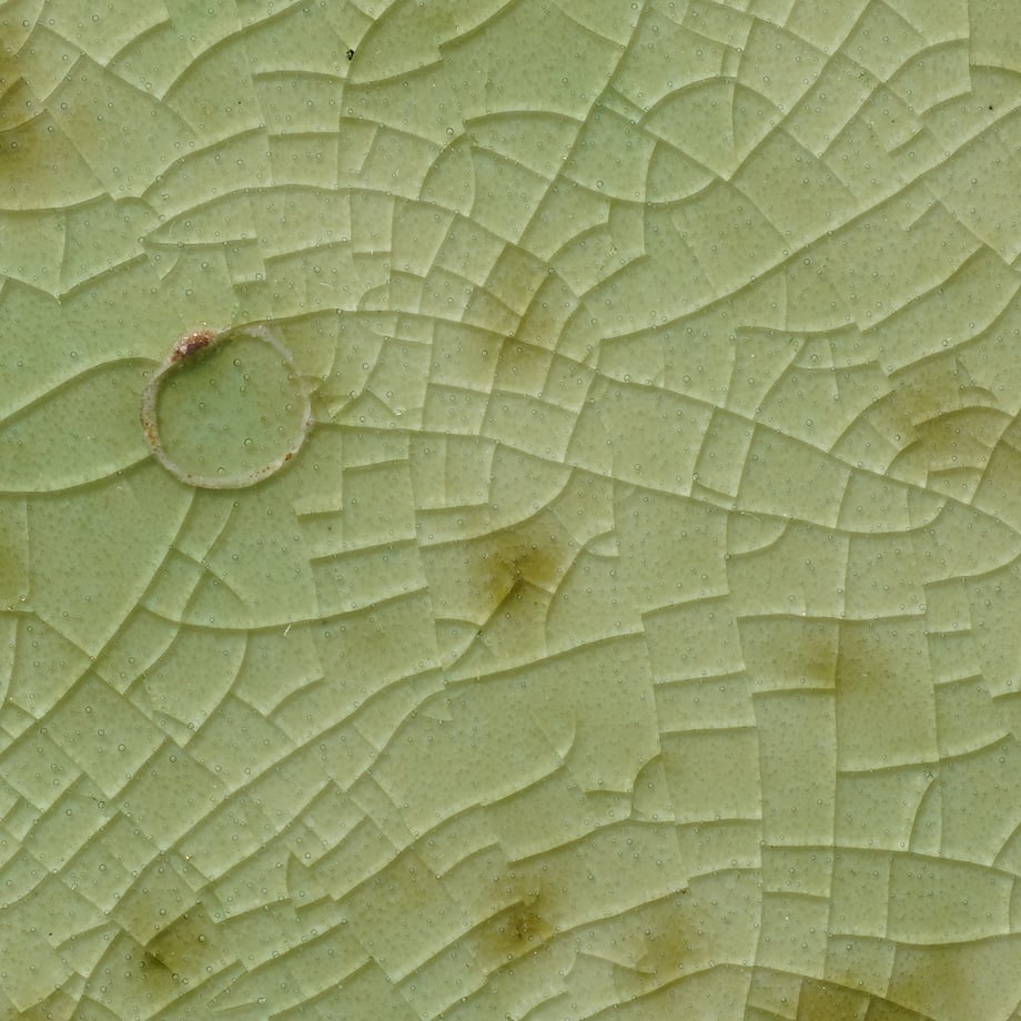 6551c116a06e09068cf2428d
