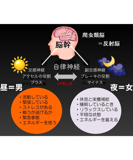 サビアンシンボル 完全攻略・オンライン講座〜牡羊座編