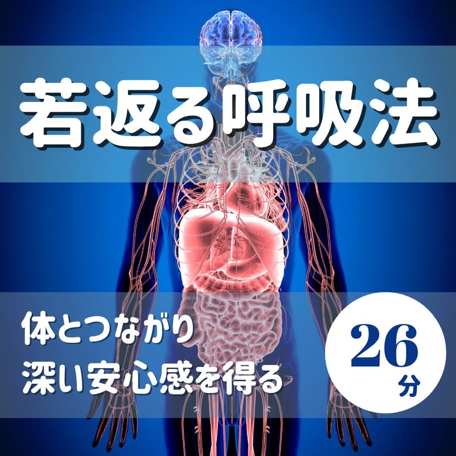 6652c3dff09fa01f22972a2c