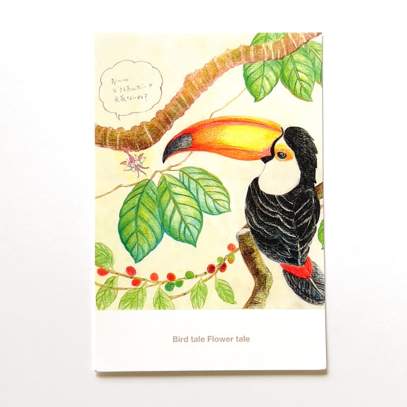 絵本「タカターニャの森」 出版記念ポストカード | バードテイル