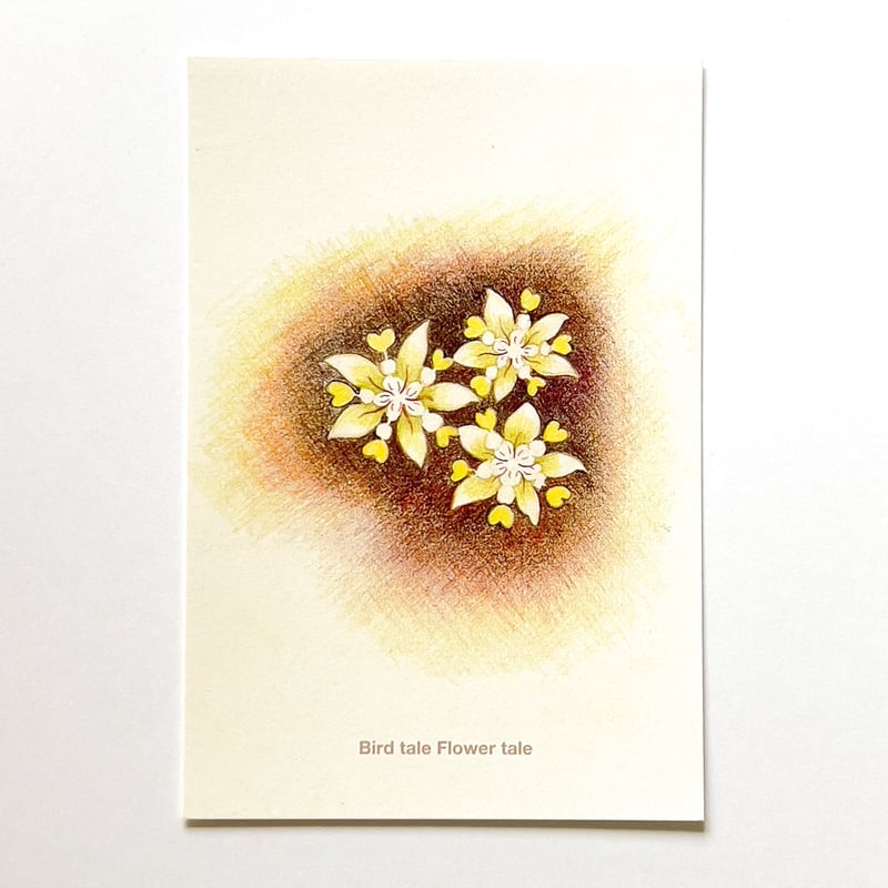 絵本「タカターニャの森」 出版記念ポストカード | バードテイル