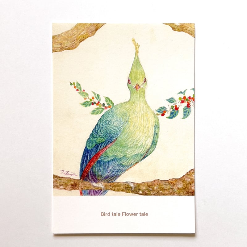 THEHOOPERS ポストカード THEHOOPERS ポストカード ハガキ/ポストカード｜紙シリーズ｜ポスト